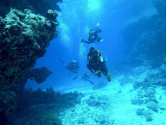 OpenWaterDiver