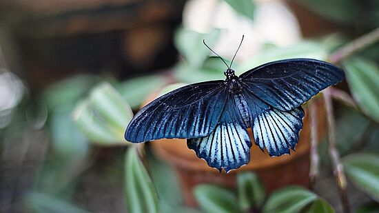 Exerzitien im Alltag