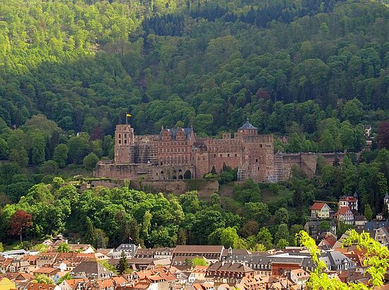 Fahrt nach Heidelberg mit Führungen