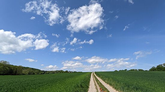 Erwanderte Orte: Waidhaus - Burkhardsried