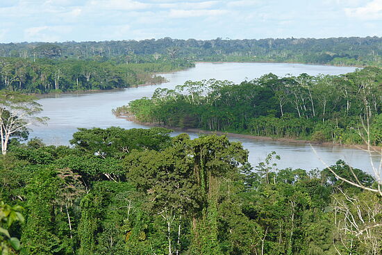 Mythos Amazonas: Die Bedeutung der Regenwälder Amazoniens für uns und unsere Erde
