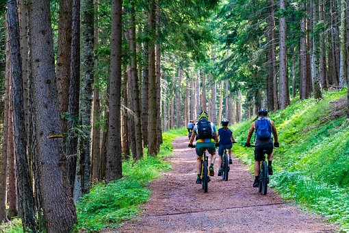 Fahrradpilgerreise auf den Spuren von St. Wolfgang
!!!kann leider nicht stattfinden - wir suchen nach einem neuen Termin!!!